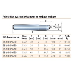 Pointe fixe standard avec embrèvement et embout carbure