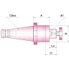 Porte fraise combiné double usage DIN2080 SA30